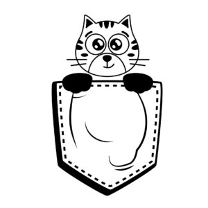 kattunge i fickan